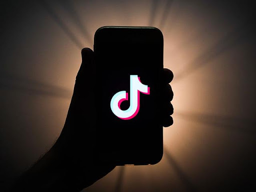 Starting a Social Media Platform – TikTok