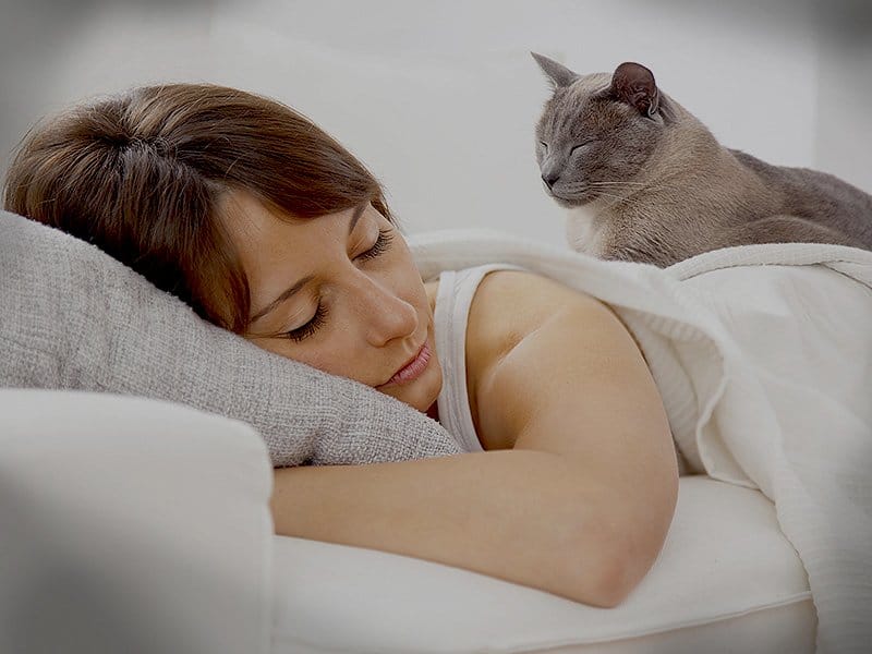 Cat sitting on a woman's shoulder while she sleeps peacefully on a bed.