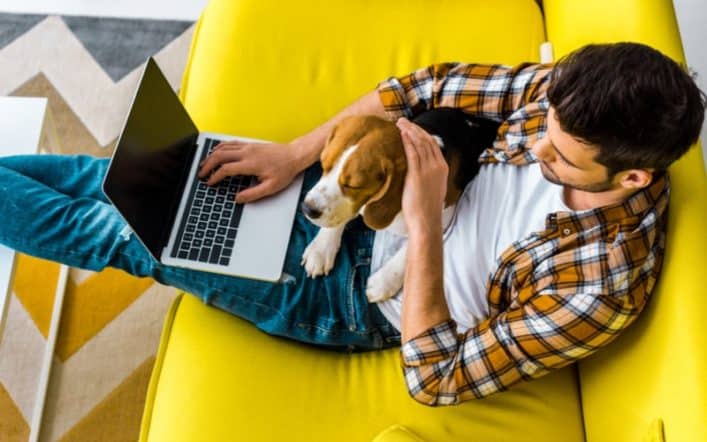 Best Work From Home Companies