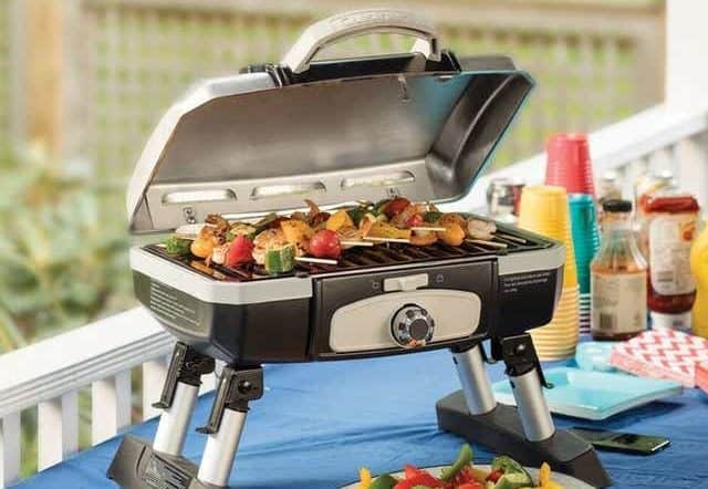 Interesting Vegetarian BBQ Recipes
